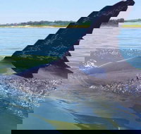 Hilton Head Jet Ski Adventure - Accommodation Michigan