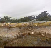 Private Badlands National Park Day Tour - Accommodation Michigan