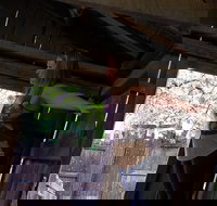 Cosmos Mystery Area Admission - Accommodation Michigan