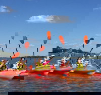 2-Hour Guided Kayak Nature Tour of Hilton Head - Accommodation Michigan