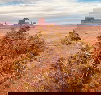 Monument Valley Backcountry Tour - Accommodation Michigan