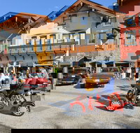 Small-Group Family-Friendly Private Cycling Sightseeing Tour - Accommodation Michigan