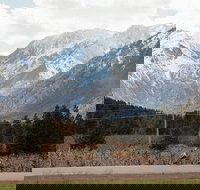 Mountain View E-Bike Experience - Accommodation Michigan