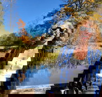 Scenic Guided Motorcycle Tours by MotoPlaN8 Handlebars - Accommodation Michigan