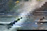  Accommodation Michigan