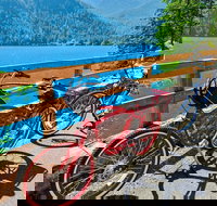 Electric Bike Rentals - Accommodation Michigan