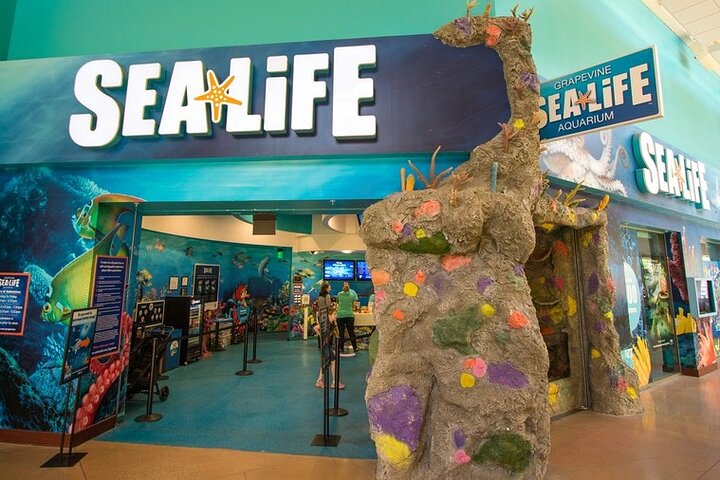 Best Of Dallas Outlet Shopping Malls Limousine Private Tour - thumb 0