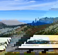 Hurricane Ridge Guided Tour in Olympic National Park - Accommodation Michigan