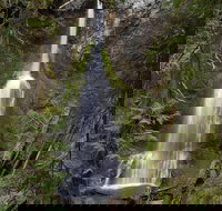 Lake Crescent and Marymere Falls Guided Tour in Olympic National Park - Accommodation Michigan