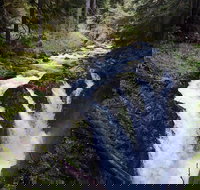 Sol Duc Falls Guided Tour in Olympic National Park - Accommodation Michigan