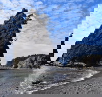 Hoh Rain Forest and Rialto Beach Guided Tour in Olympic National Park - Accommodation Michigan