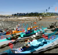 Guided Kayak Tour on San Juan Island - Accommodation Michigan
