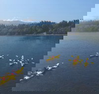 Half-Day Sea Kayaking Trip Near Olympic National Park - Accommodation Michigan