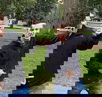 Fun City Scavenger Hunt in Madison by Wacky Walks - Accommodation Michigan