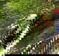 New River Gorge Zip Line Canopy Tour - Accommodation Michigan