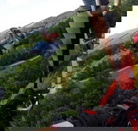 New River Gorge Zip Lining - Accommodation Michigan