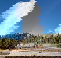 Full-Day Private Safari of Yellowstone - Accommodation Michigan