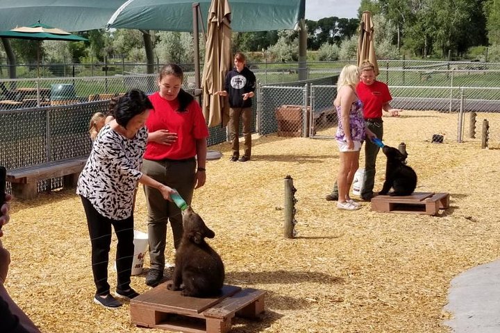 The Great West- Grand Tetons, Yellowstone, Mount Rushmore, Glacier National Park - thumb 1