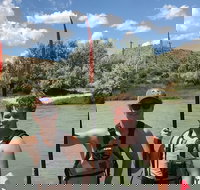 Surfin In The Rockies Duckie Tours - Accommodation Michigan