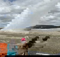 Yellowstone Open Air Tours by Cody Wyoming Adventures - Accommodation Michigan