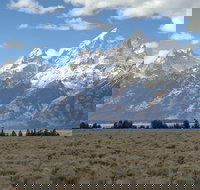 Grand Loop Yellowstone Wildlife and Photo Tour - Accommodation Michigan