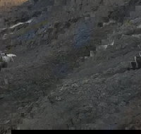 Yellowstones Upper Loop Tour smaller group sizes for better tour experience - Accommodation Michigan