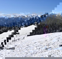 Hurricane Ridge Guided Snowshoe Tour in Olympic National Park - Accommodation Michigan