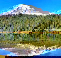 Mount Rainier National Park 1-Day Tour (Seattle departure) - Accommodation Michigan
