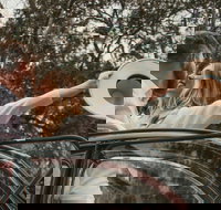 Private Historic Savannah Tour in a Vintage Citron - Accommodation Michigan