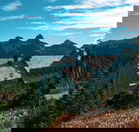 Mount Rainier National Park Day Trip and Private Tour - Accommodation Michigan