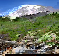 Private Mt Rainier National Park Day Trip from Seattle - Accommodation Michigan