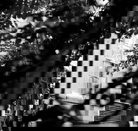 Genteel and Bard's Savannah Dark History and Ghost Walking Tour - Accommodation Michigan