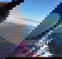 Platinum Package - Helicopter Tour with Dinner at Ruth's Chris or Capital Grille - Accommodation Michigan