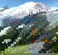 Mt. Rainier National Park Small Group Tour from Seattle with Gourmet Lunch - Accommodation Michigan