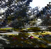 Yoga in Forsyth Park - Accommodation Michigan