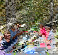 Mount Rainier National Park Luxury Small-Group Day Tour with Lunch - Accommodation Michigan