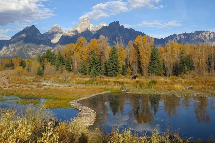 Grand Teton National Park - Sunset Guided Tour From Jackson Hole - thumb 4