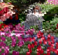 Skagit Valley Tulip Festival Day Trip from Seattle - Accommodation Michigan