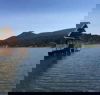 Private Denver and Foothills Mountain Tour - Accommodation Michigan