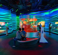 Skip-the-Line California Academy of Sciences General Admission Ticket - Accommodation Michigan
