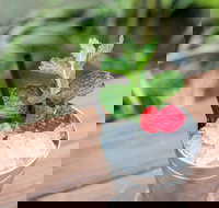 Small-Group Cocktail Tour in Denver - Accommodation Michigan