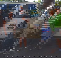 Grand Canyon Sightseeing Tour from Flagstaff - Accommodation Michigan