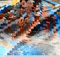 Classic Salt River Raft Trip - Accommodation Michigan