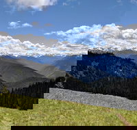 Olympic National Park - Private Luxury Day Tour with Lunch - Accommodation Michigan