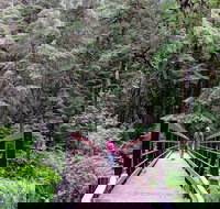 Olympic National Park Luxury Small-Group Day Tour with Lunch - Accommodation Michigan