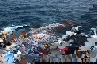 Accommodation Michigan