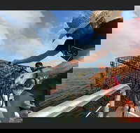 Big Fun Dolphin Cruise and Sealife Experience Orange Beach - Accommodation Michigan