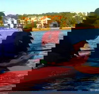 Dolphins and Wildlife Kayak Experience from Gulf Shores - Accommodation Michigan