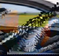 Historical Baltimore Self-Driving Sightseeing Audio Tour - Accommodation Michigan